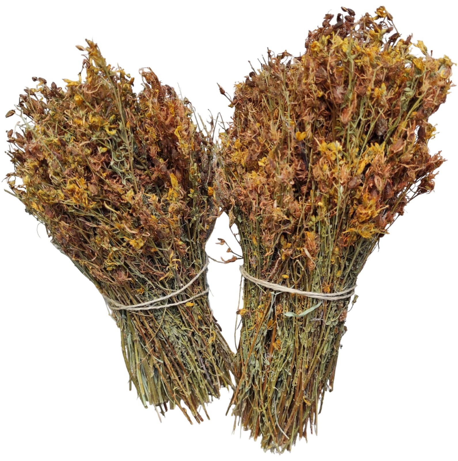 St. John’s Wort Herbal Tea whole Bunch | Hypericum Perforatum