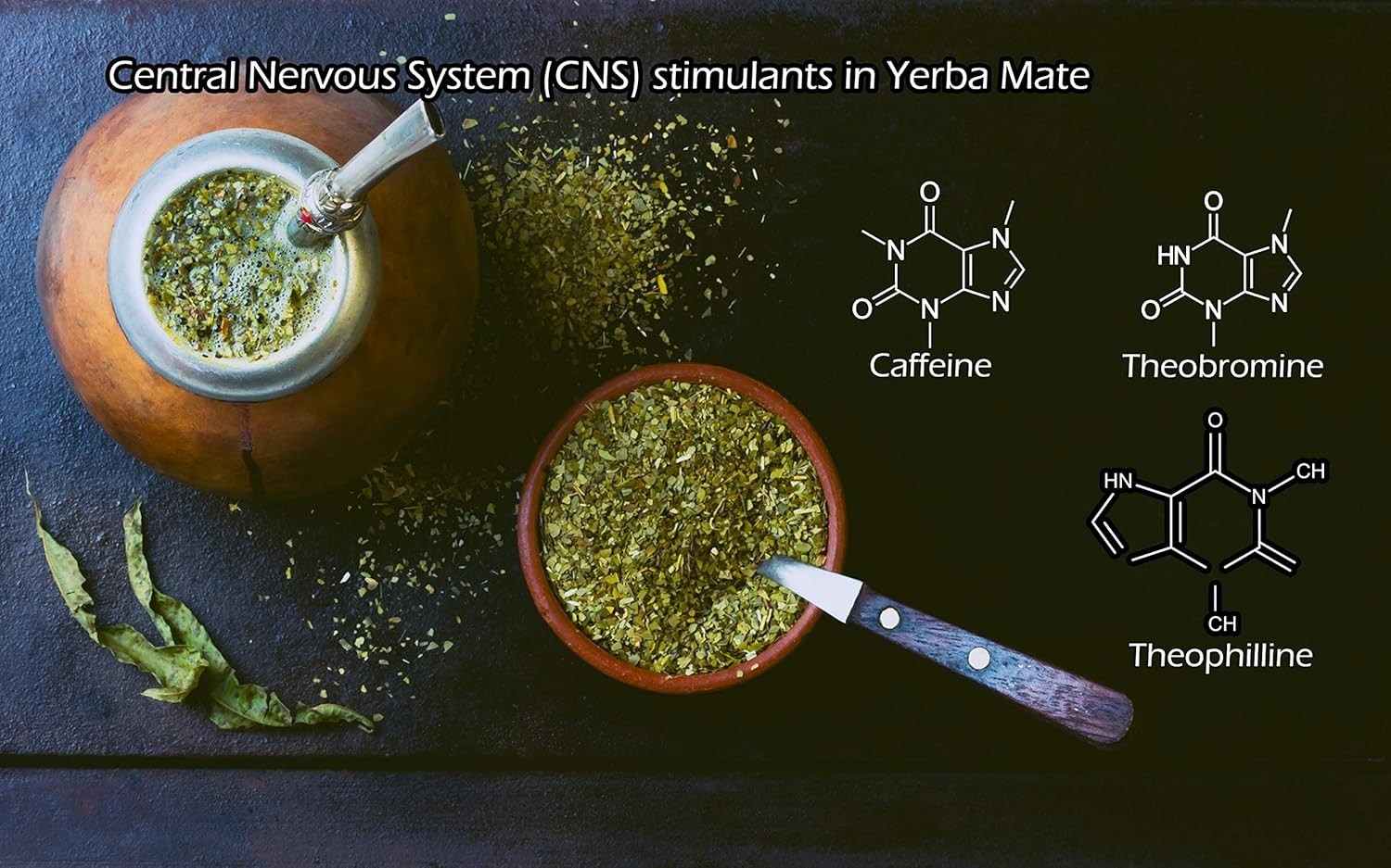 1LB Certified Organic Yerba Mate – Energizing High Caffeine Drink from Brazil