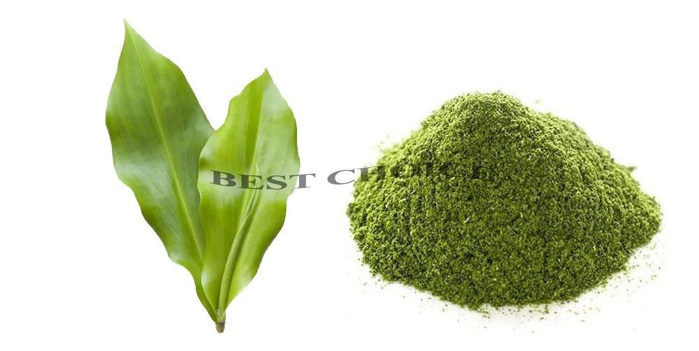 Insulina Plant Organic Dried Leaves Powder ( Costus Igneus ) Thebu