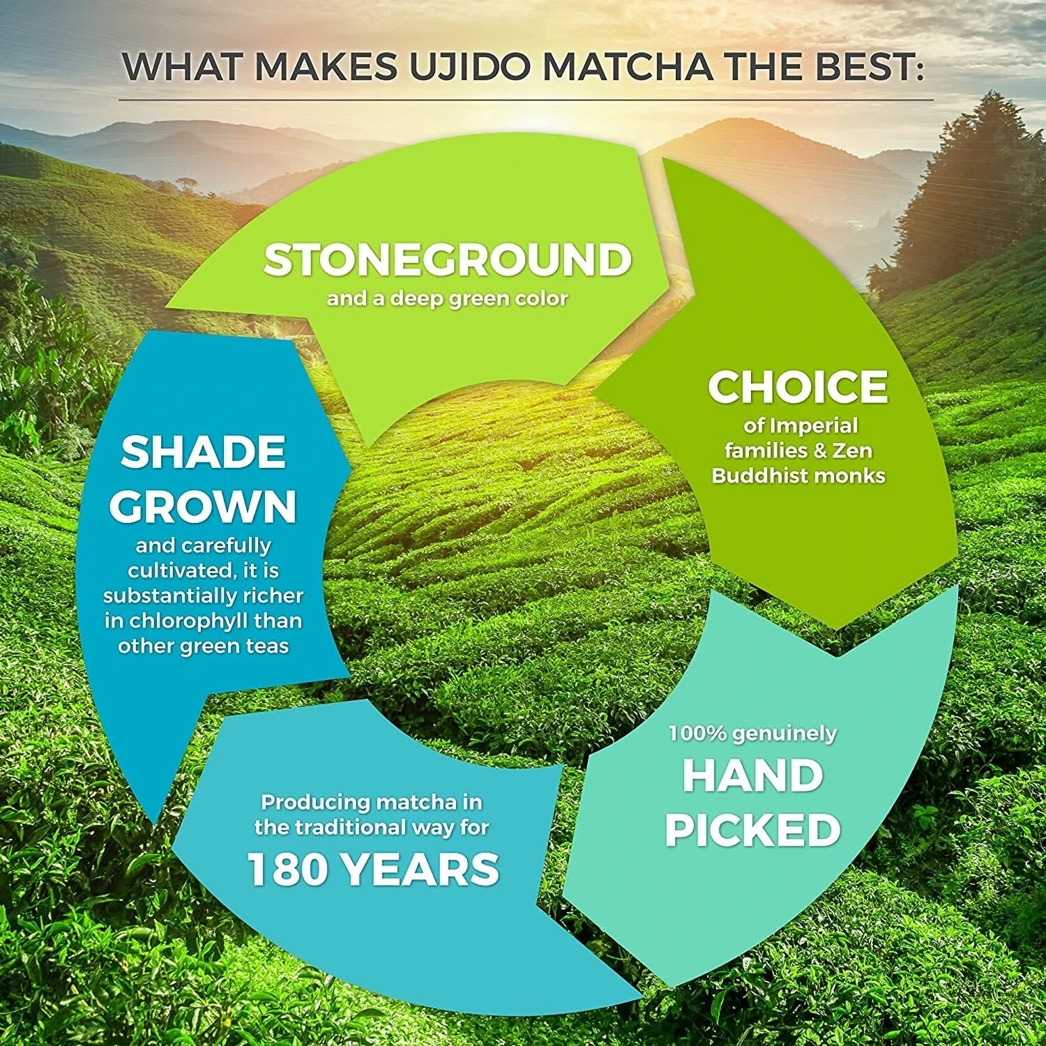 Ujido The Path of Zen Japanese Matcha Green Tea Powder Ceremonial Blend (4 OZ)