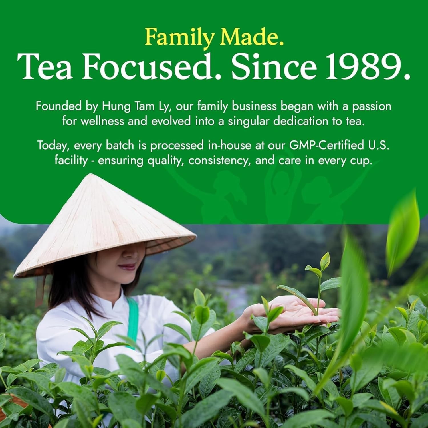 54-Count Caffeine-Free Green Tea Bags – Extra Strength for Gentle Detox Support
