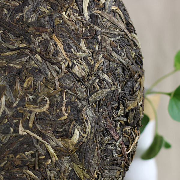 2014 Haiwan High Mountain Ancient Tree Old Comrade Batch 141 Raw Puer Tea 500g