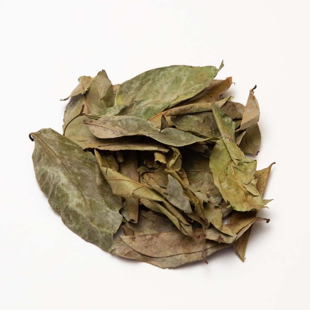 2oz Dried Soursop Tea Leaves Graviola Herbal Tea Hojas de Guanabana | Loose Leaf