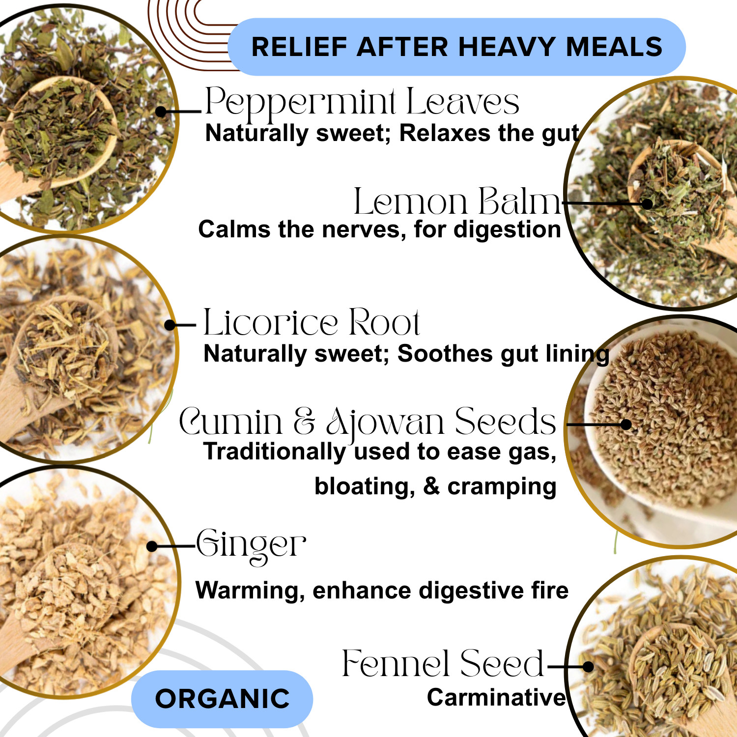 BELLY EASE- Digestive Tea for gas, bloating, weak digestion by Master Herbalist