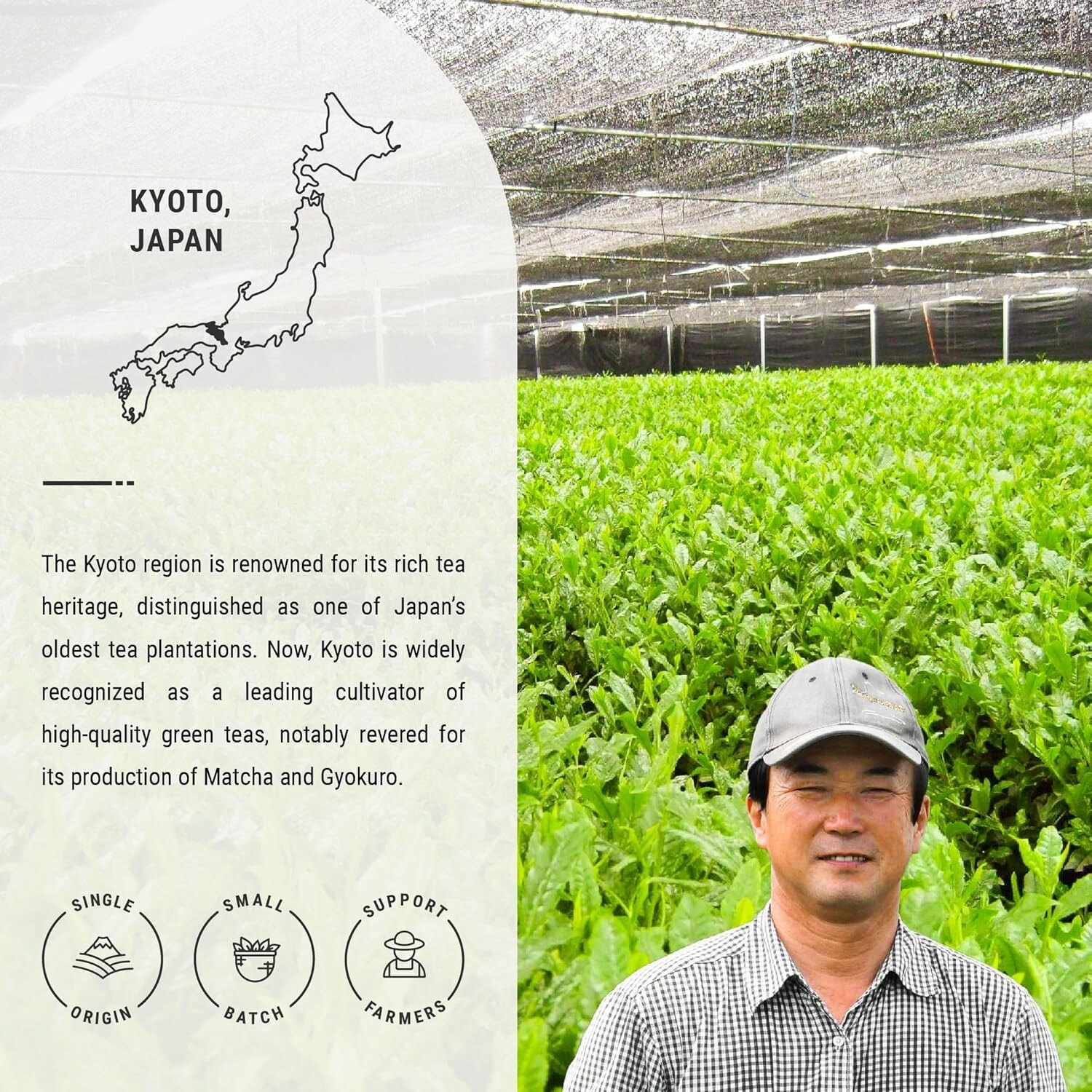 Authentic Shade Grown Gyokuro Green Tea – Premium Loose Leaf 1.76oz Airtight Tin