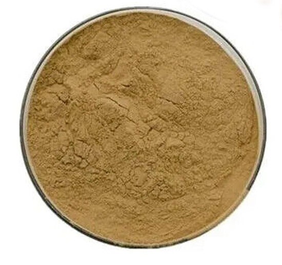100% PURE – 50% Polysaccharides’ ASTRAGALUS ROOT 15:1 EXTRACT POWDER 1000g