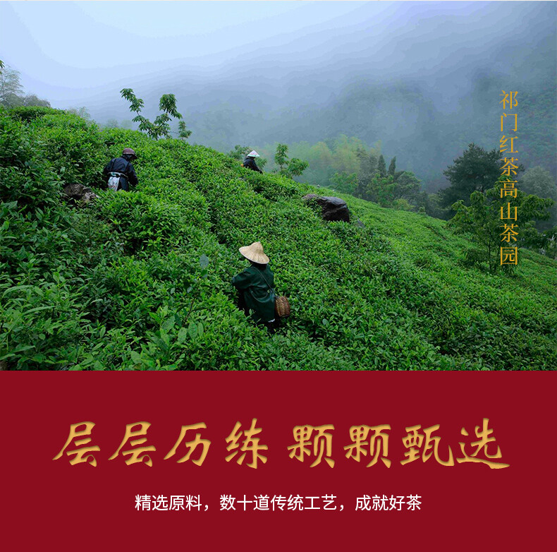 Qimen Keemun Black Tea Chinese Gongfu Anhui High Mountain Loose Leaf 100g