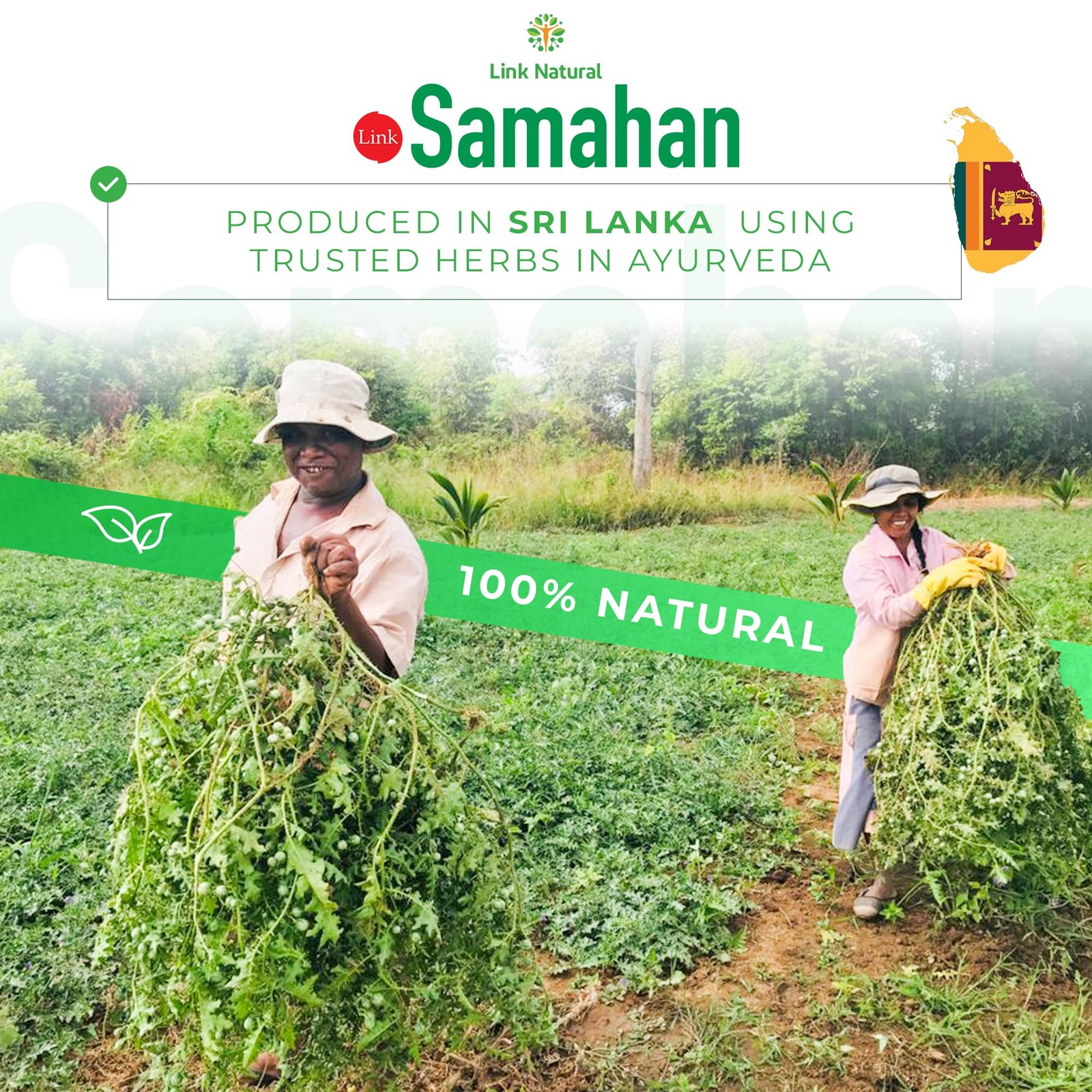 SAMAHAN Ayurvedic Herbal Tea Packets – Sri Lankan Ceylon Blend with 14 Natura…