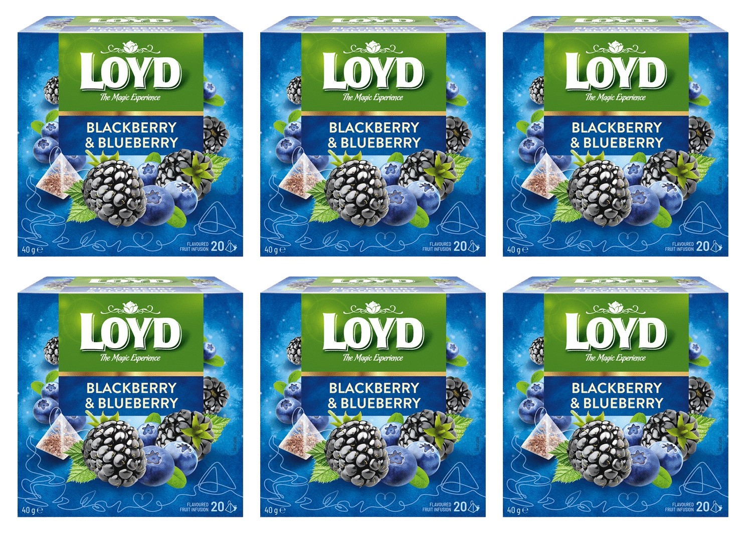 6 LOYD BLACKBERRY & BLUEBERRY Flavor Fruit Tea 20 Teabags Boxes 40g 1.4oz