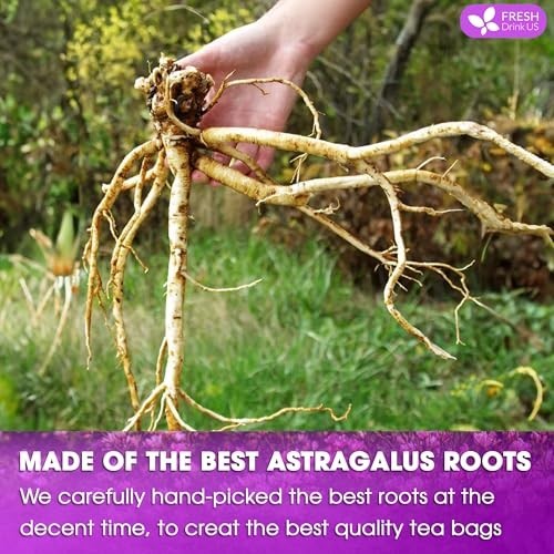 75 Astragalus Root Tea Bags Natural Herbal Caffeine-Free Vegan Gluten-Free
