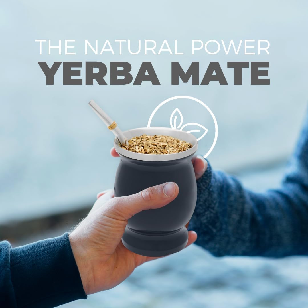 Stainless Steel Double-Wall Mate Cup and Bombilla Set – Yerba Mate Set Includes