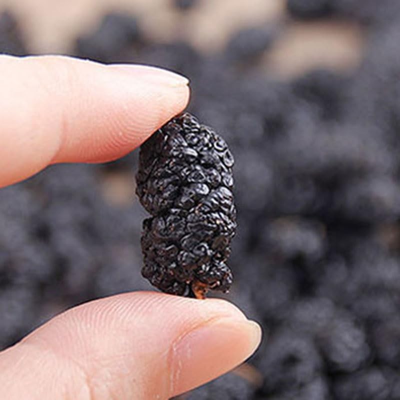 Dried Black Mulberries 黑桑葚 12.35Oz(350G) Fruit Tea Sun-Dried Mulberries