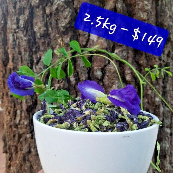 Blue Butterfly Pea Flowers Herb Tea Original CLITORIA TERNATEN 2500g + FREE 100g