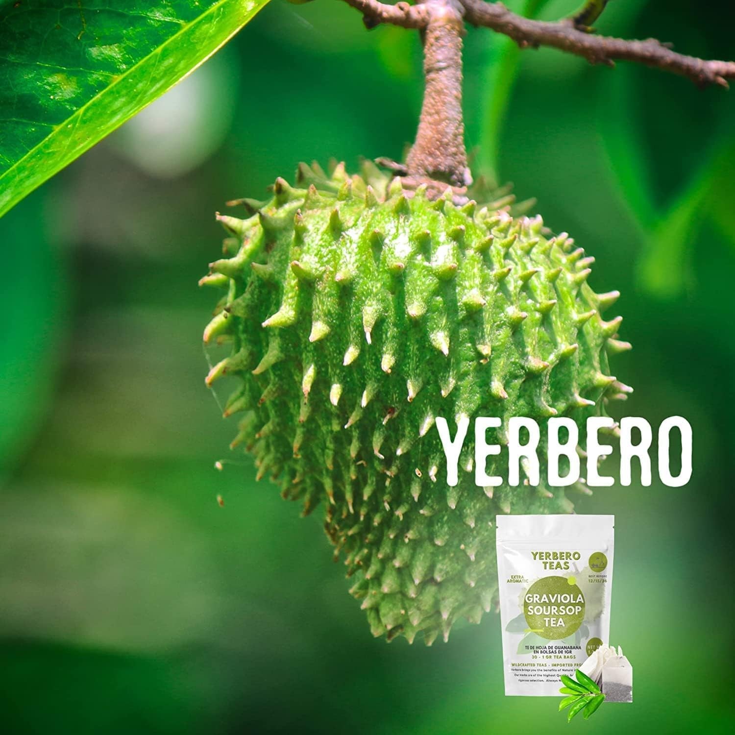 Yerbero Dried Graviola Soursop Leaves 4 oz | 100 Natural Tea from Mexico