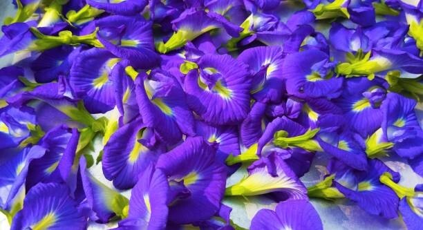 Ceylon Health Blue Pea Tea Butterfly Dried Nil Katarolu Flower Organic 50g New