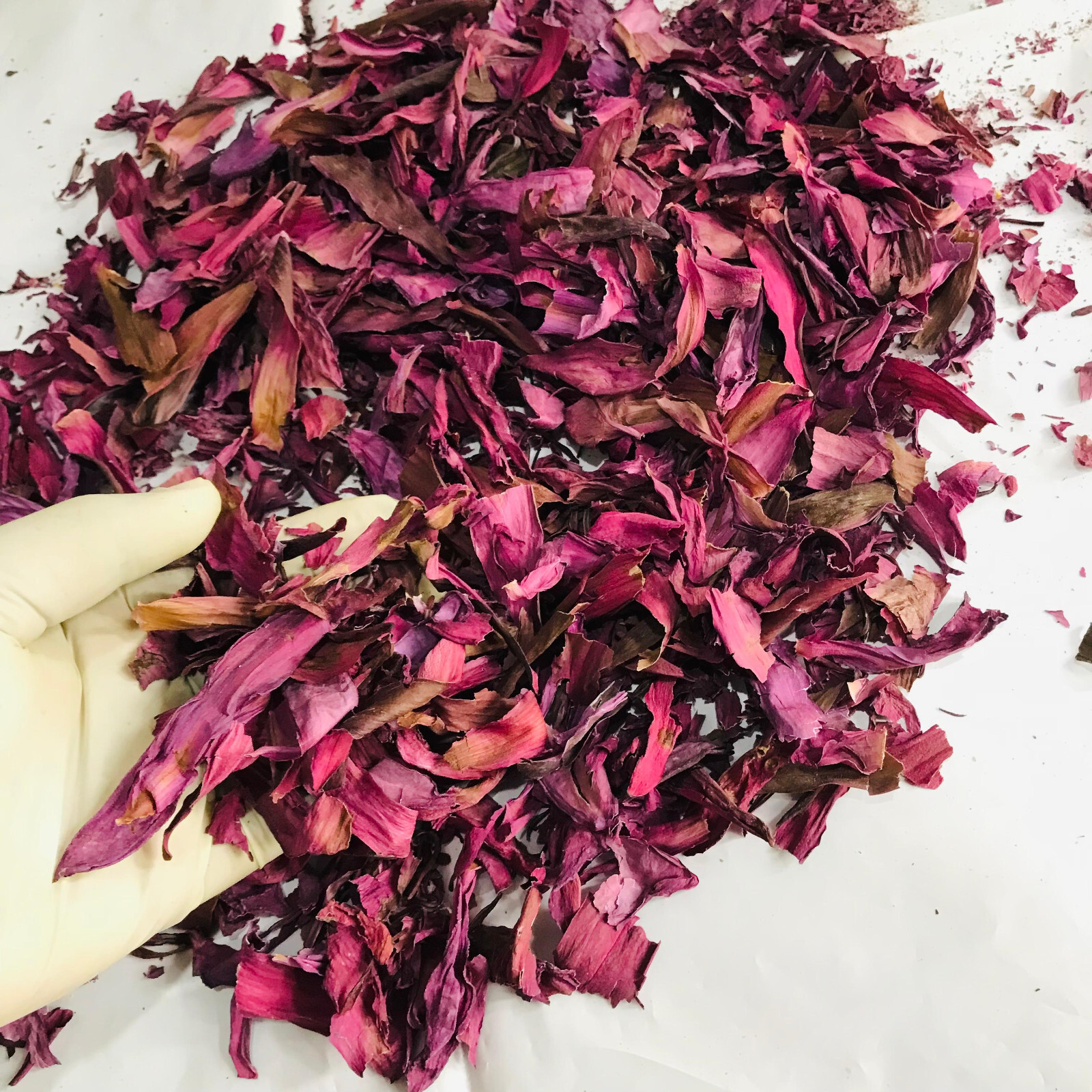 Dried Cut Red Lotus 1kg Nymphaea Rubra Flower Pure Organic Ceylon Herbal Tea