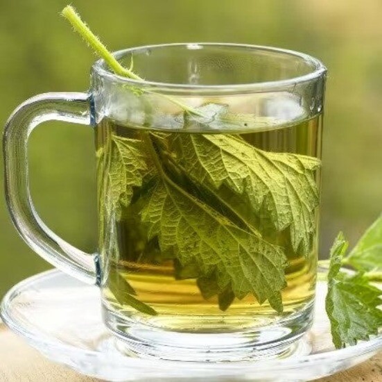 Organic Nettle Leaf Tea