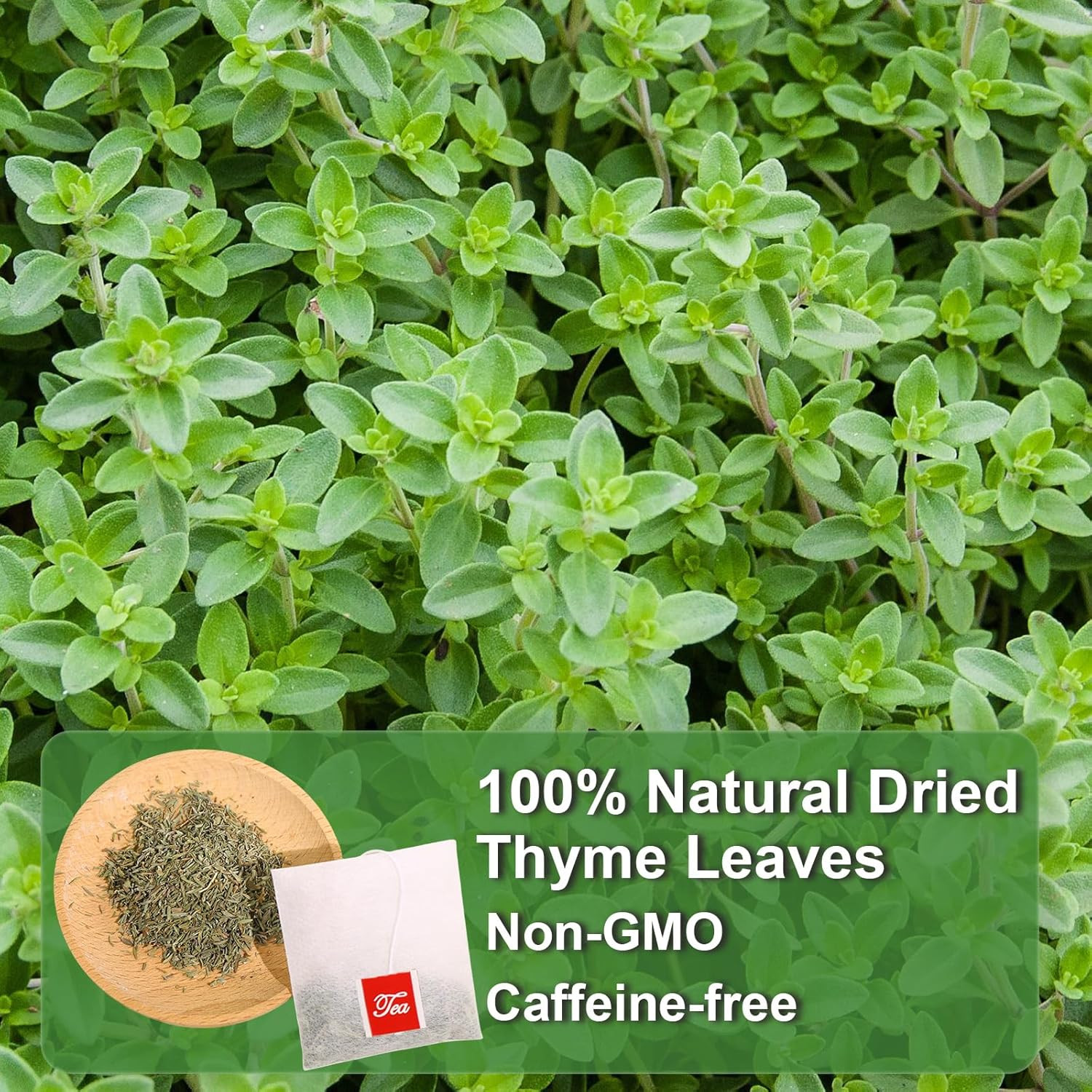 – Thyme Tea Bags, 40 Teabags – Premium Thyme Leaves – Non-Gmo – Caffeine-Free, P