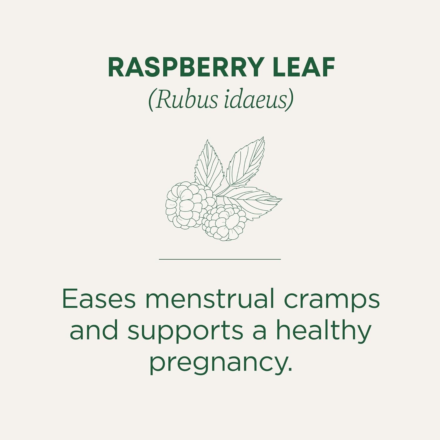 Traditional Medicinals Organic Raspberry Leaf Tea Supports Healthy Pregnancy