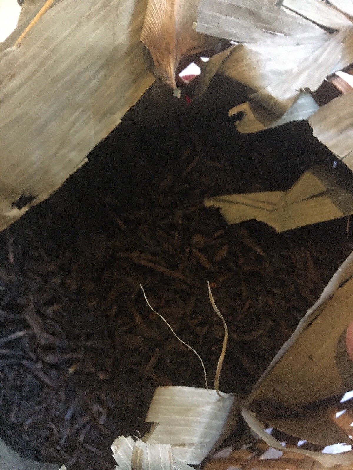1980’s Liu An Tea High Basket Anhui. Ginseng Taste 385g