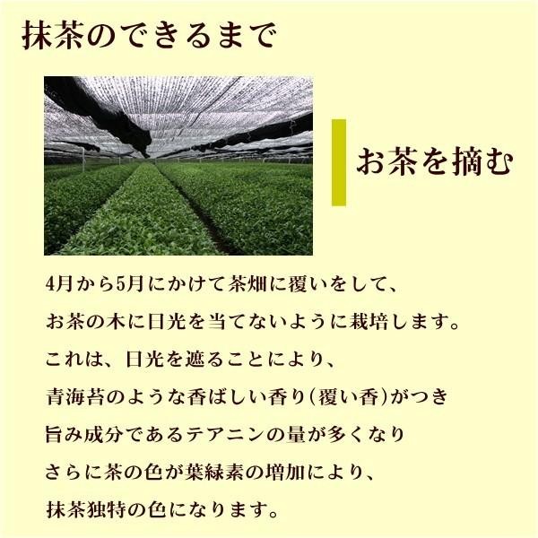 Kakuto Japanese Matcha Green Tea Powder 100g Domestic Japan Culinary Grade