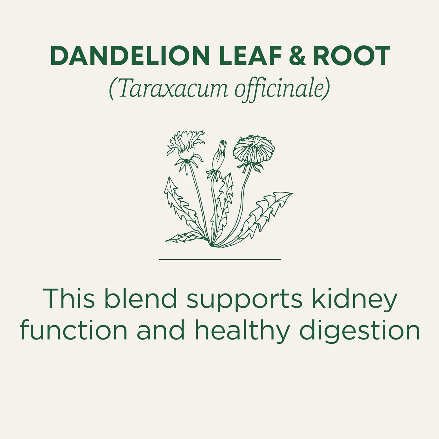 Tea, Organic Dandelion Leaf & Root, Supports Kidney Function & Healthy Digestion