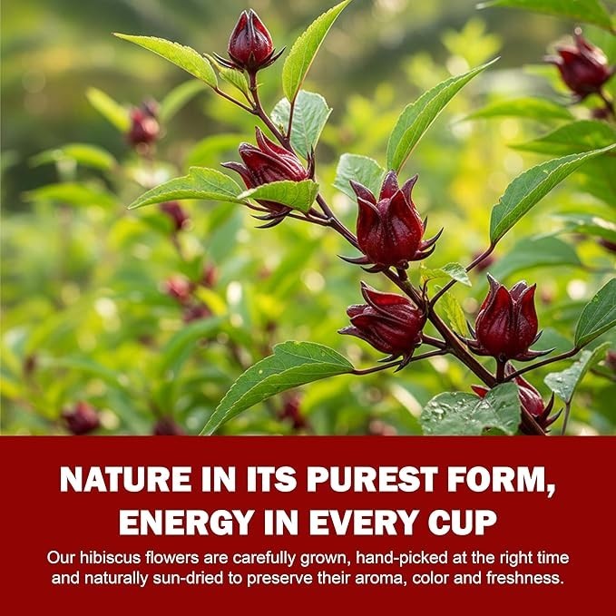 Hibiscus Tea with Moringa 75 Tea bags, Herbal Wellness Blend for Blood Pressure