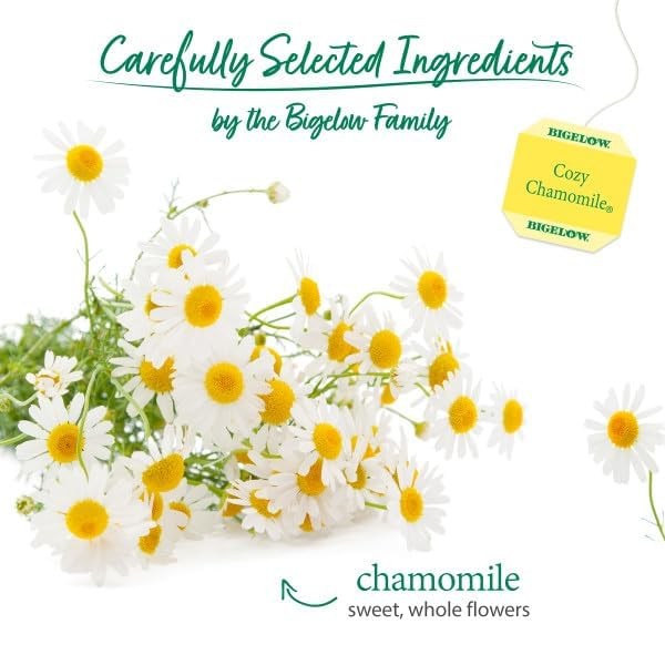 Bigelow Tea Cozy Chamomile Herbal Tea, Caffeine Free 20 Count (Pack of 6)