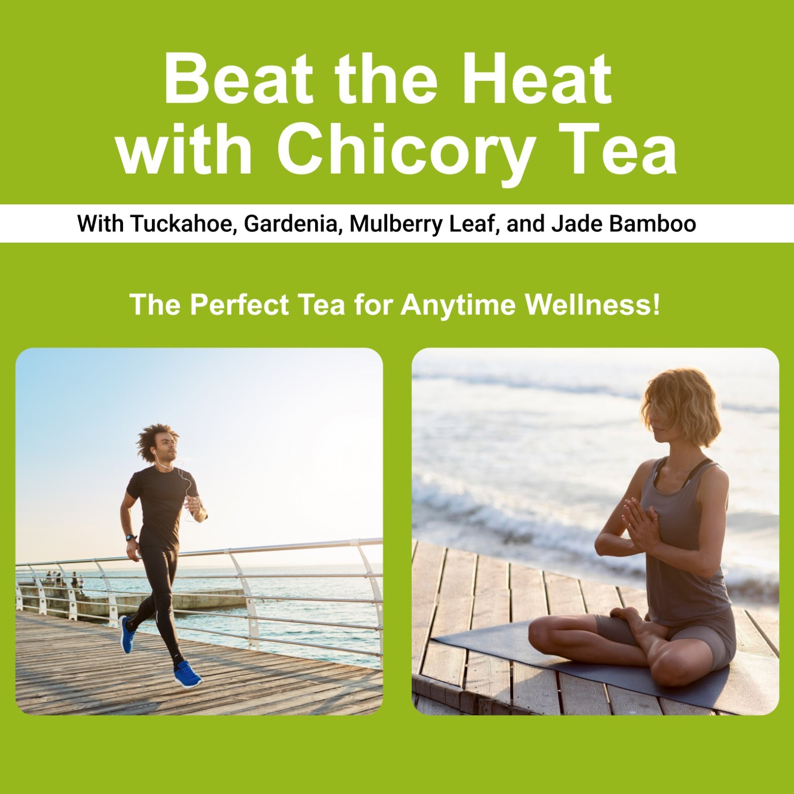 Chicory and Gardenia Tea 30 Bags Liver and Kidney Daily Support from VitalsHerb