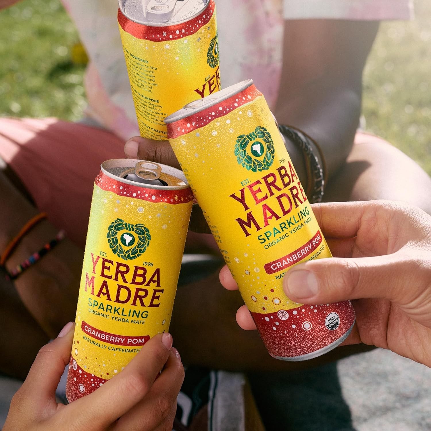 Sparkling Yerba Mate Cranberry Pom 12oz Cans Organic High Caffeine Energy Drink