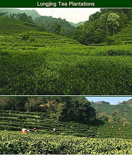 Dragonwell Longjing Tea(Yu Qian),Fresh West Lake Dragon Well Green Tea Leaf P…
