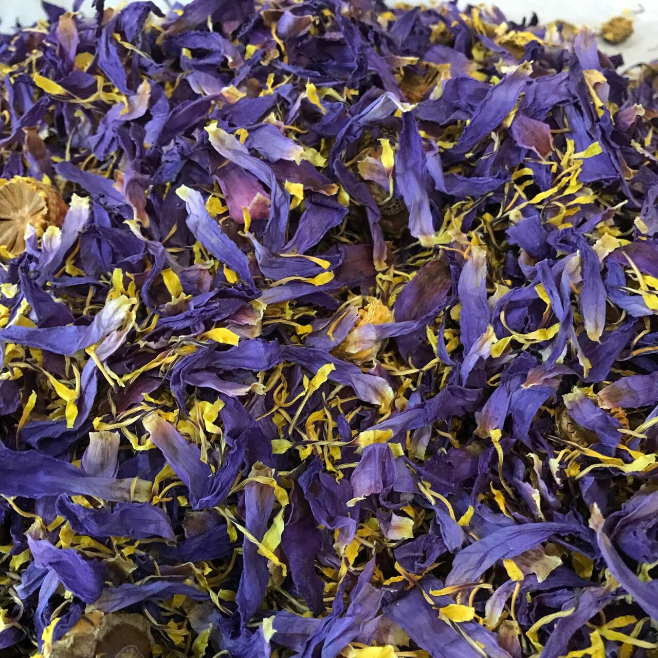 Ceylon Egyptian Cut Blue Lotus Nymphaea Caerulea Hand Picked Herbal Organic Tea