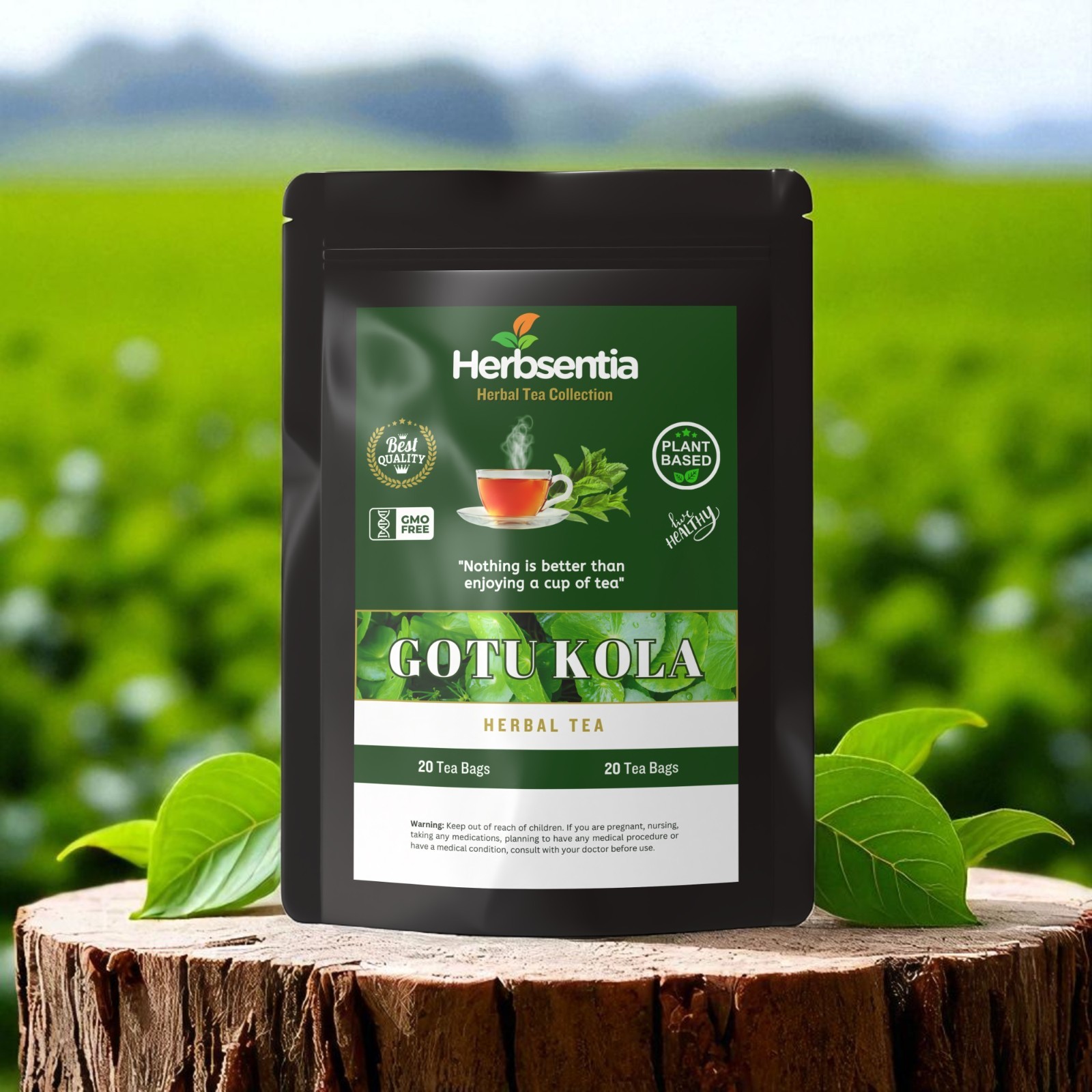 Gotu Kola Tea – “The Student Herb” (Premium)