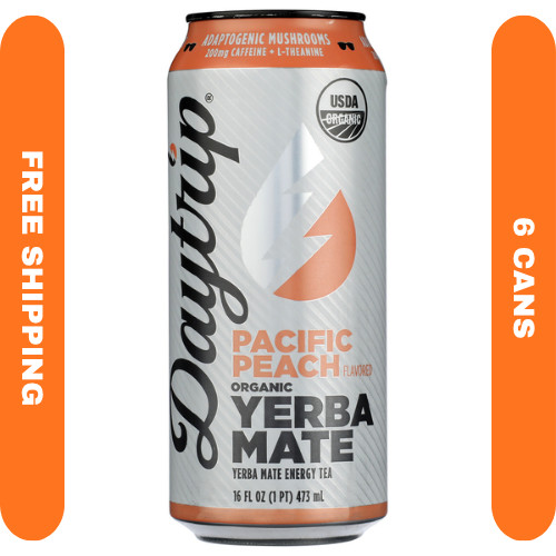 Daytrip Organic Yerba Mate 16 fl oz Cans Pack of 6 Natural Energy Tea Beverage