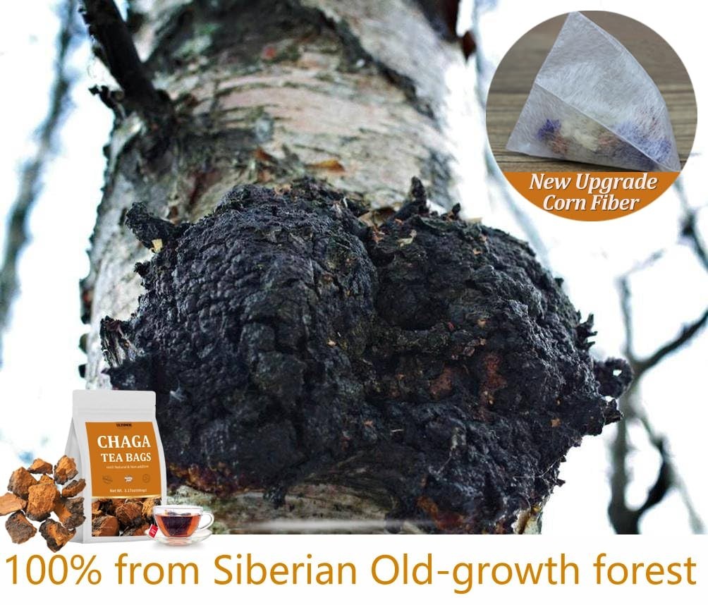60 Chaga Tea Bags,100% Pure Siberian Wild Harvest Chaga Mushroom,No Additives…