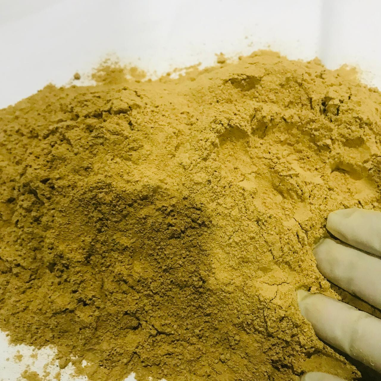 Dried Blue lotus Powder Organic Pure Quality Nymphaea Caerulea Flower Herbal Tea