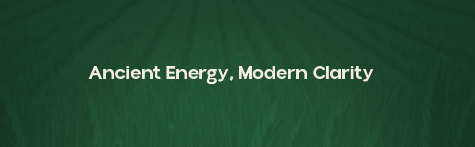 SHILAJIT TEA