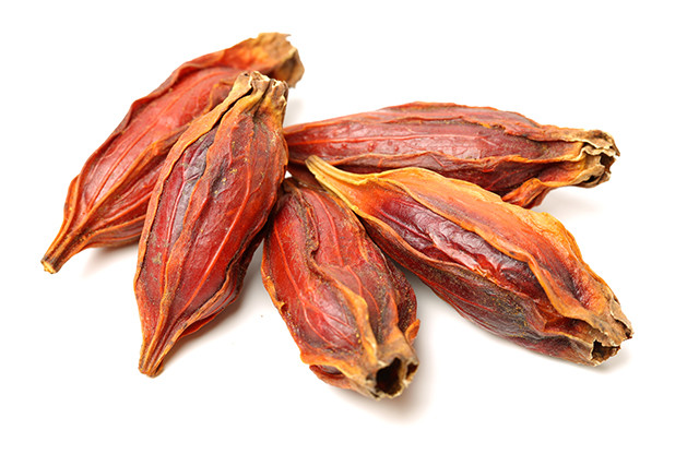 Gardenia Fruit – Dried Gardenia Fruit from 100% Nature, Wild Crafted