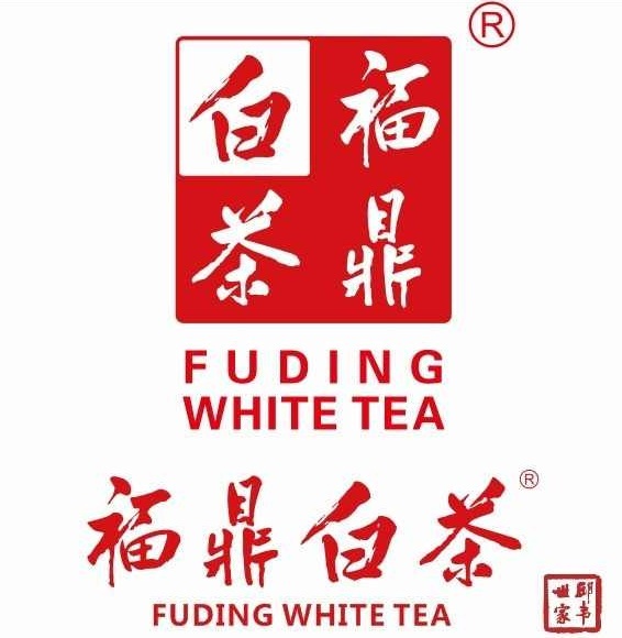 Organic Bai Hao YIn zhen Silver needle white tea Premium Loose leave Tea 1/2 LB