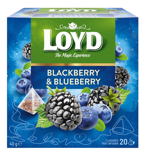 4 LOYD BLACKBERRY & BLUEBERRY Flavor Fruit Tea 20 Teabags Boxes 40g 1.4oz