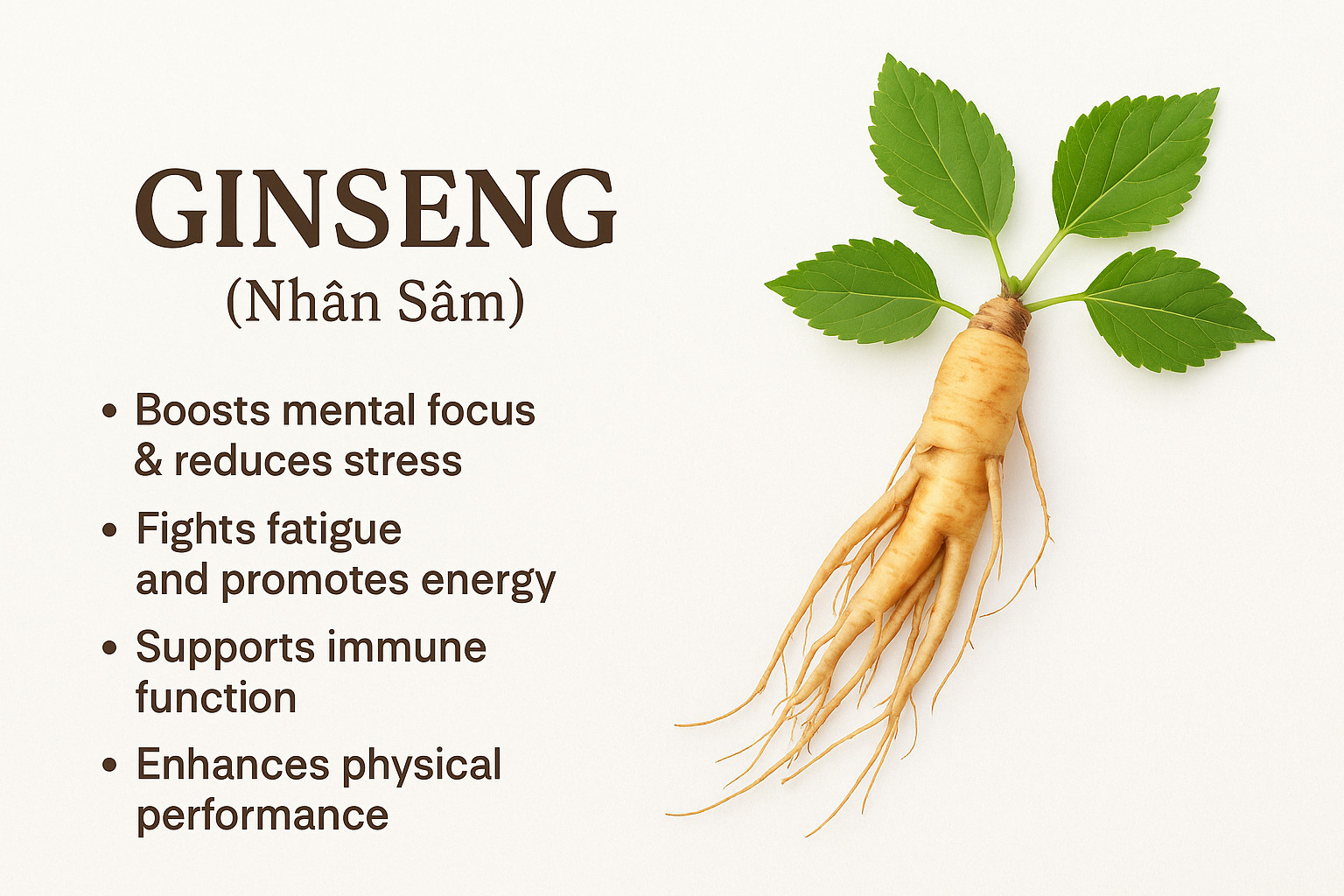 Hmong Sister’s Tea – Hmong herbal tea