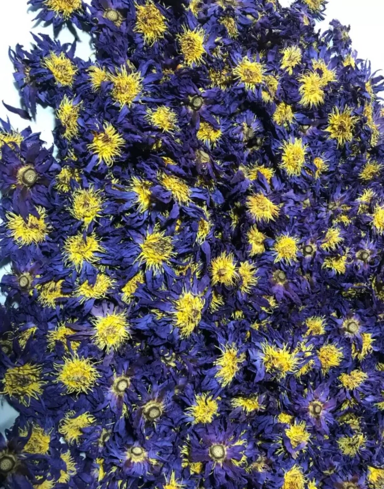 Organic Natural BLUE LOTUS Nymphaea Caerulea Dried Flower 100%Harbal tea / Smoke