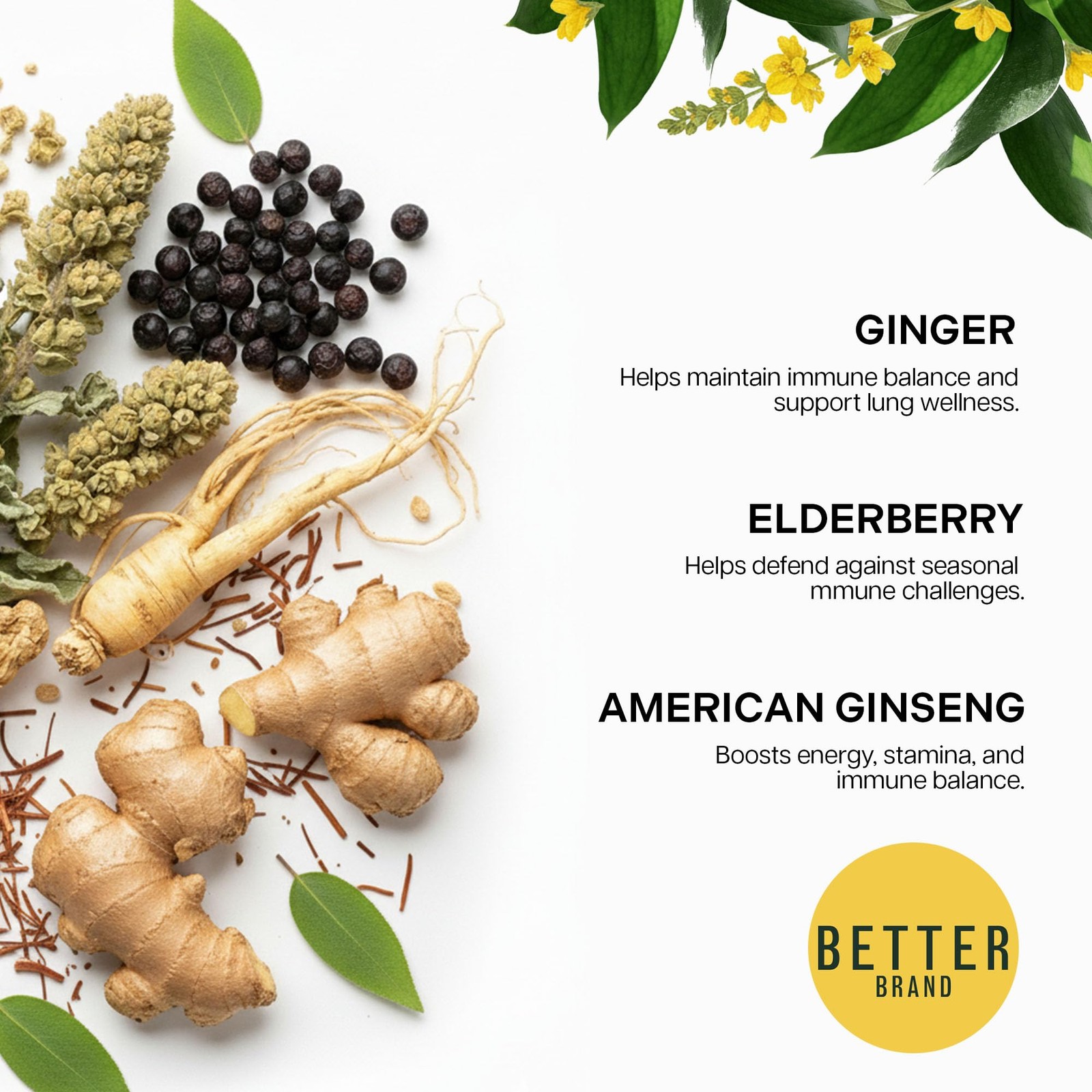 Betterbrand Mullein Tea Bags for Lung Detox Respiratory Support with Thyme, …