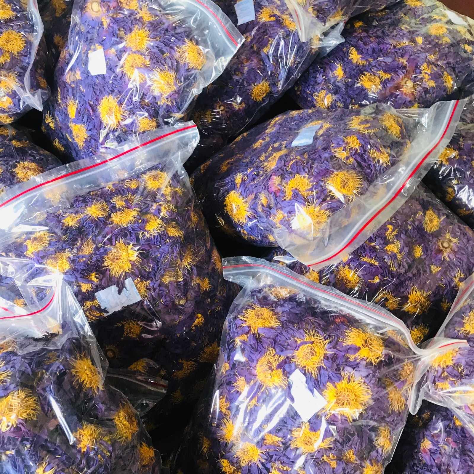 Dried Blue Lotus 100% Hand Picked Ceylon Organic Natural Flowers Egyptian Tea