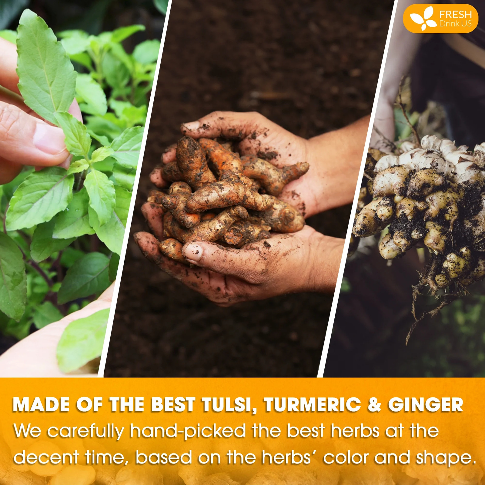 FreshDrinkUS, Premium 55 Tulsi Turmeric Ginger Tea Bags, 100% Natural & Pure fro