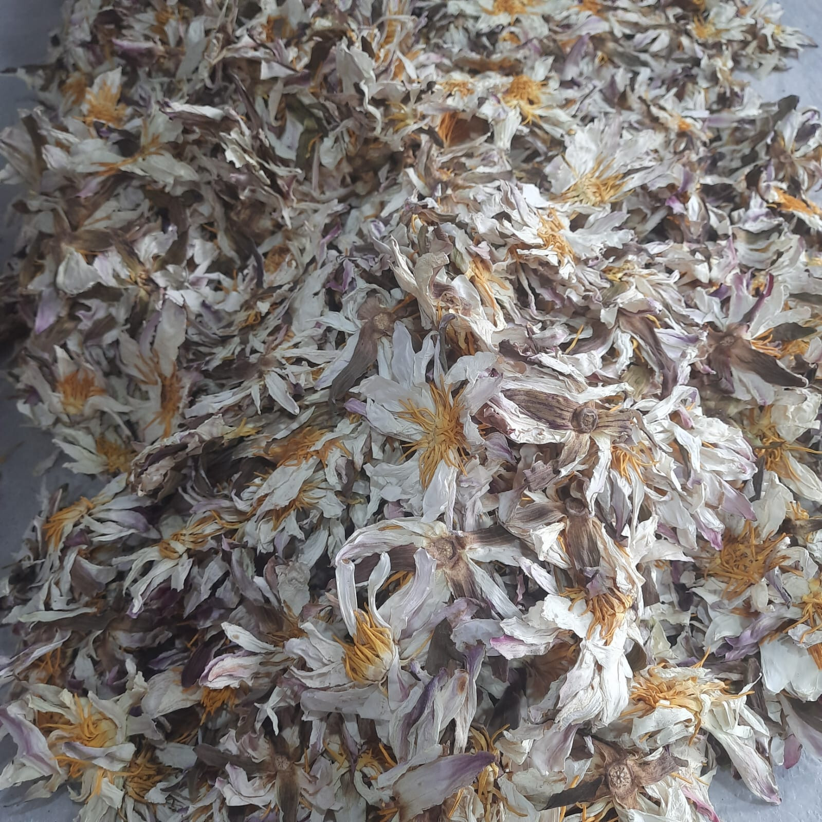 Ceylon White Lotus Nymphaea Ampla 100% Organic Herbal 1kg Flowers Tea