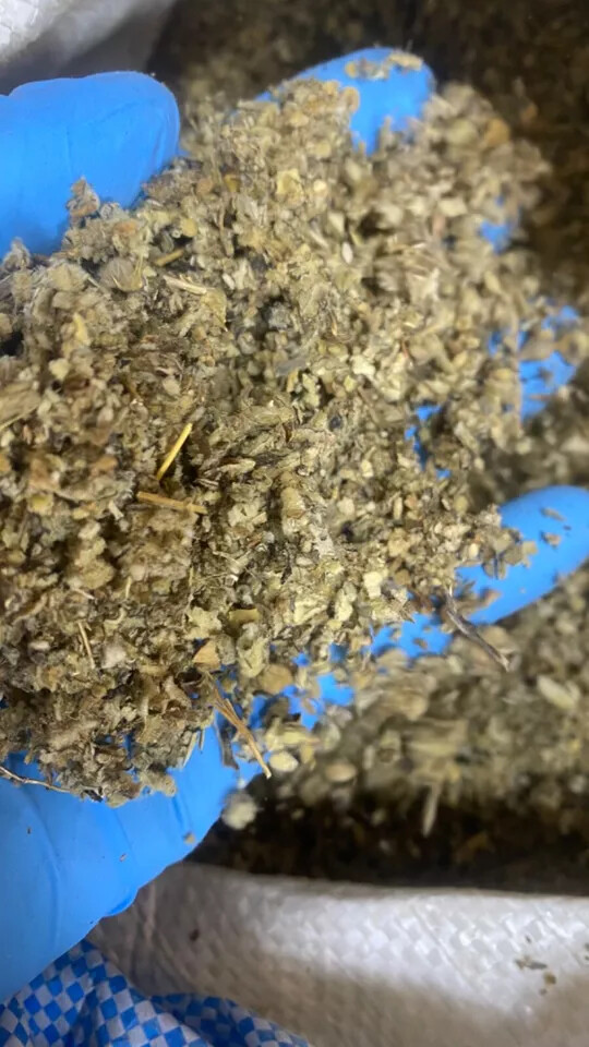 Mullein Herb Leaf cut bulk wild crafted organic