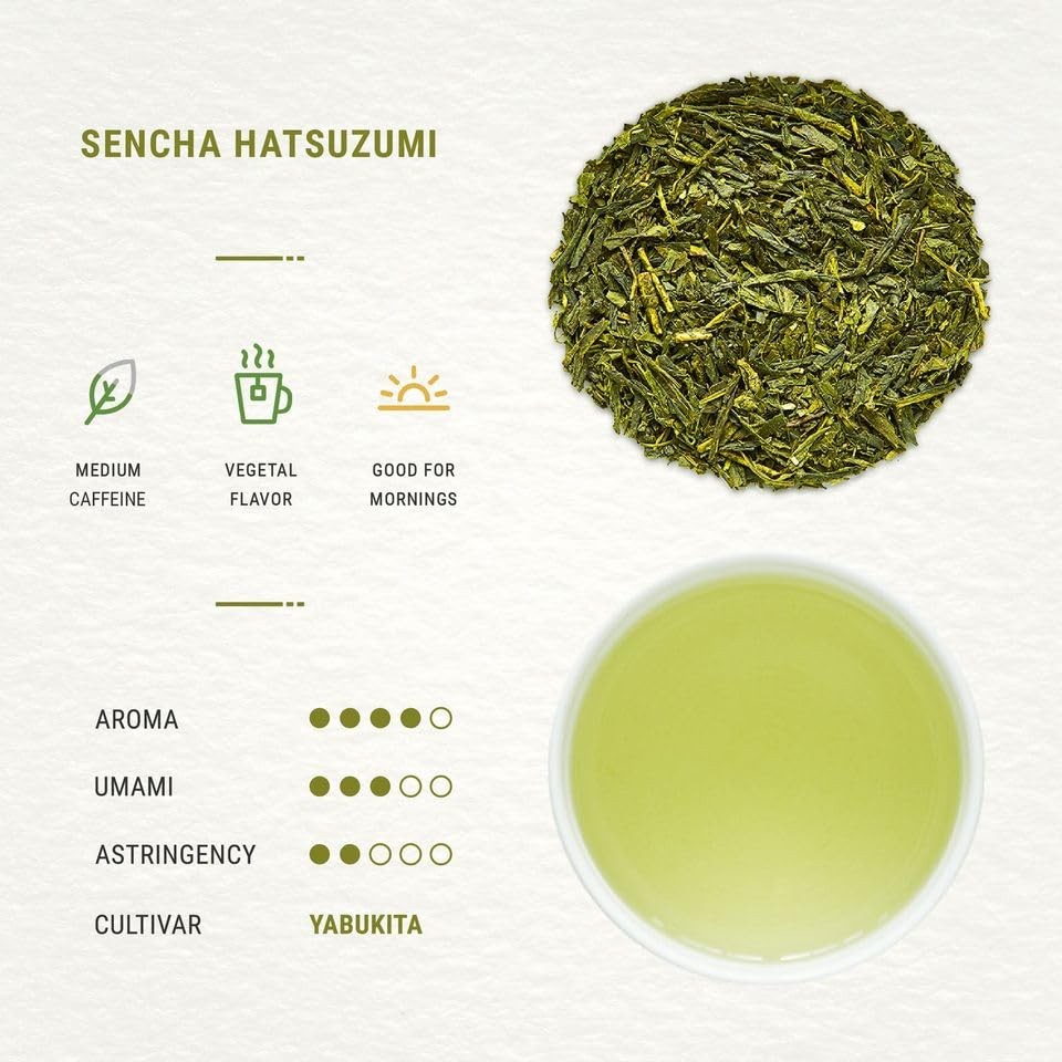 Senbird Premium Sencha Japanese Green Tea From Shizuoka, Japan Loose Leaf …