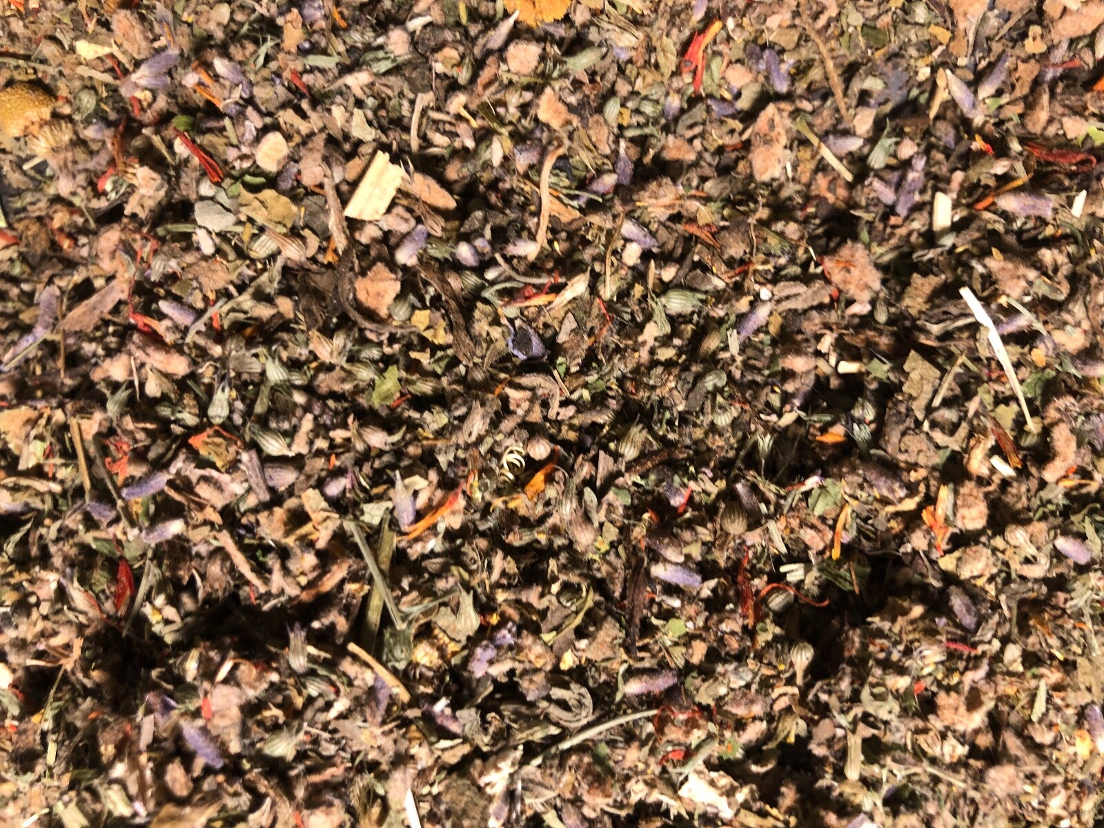 No.43 Mix – Poppy Jujube Lemon Lavender Catnip Skullcap Safflower + plus more!