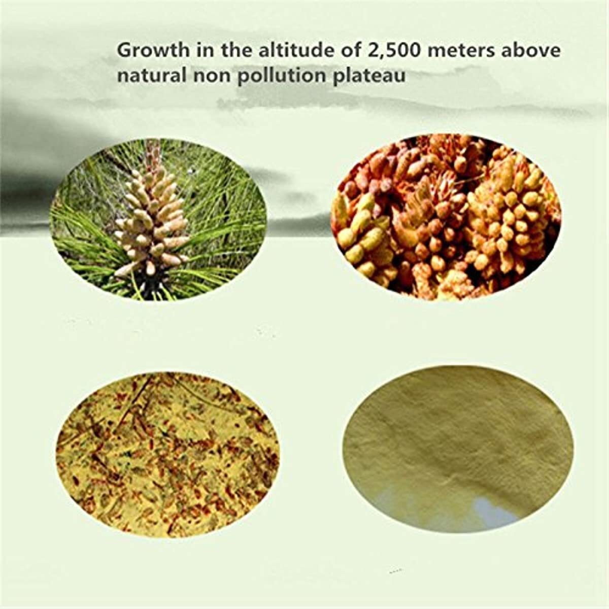 Premium Yunnan Wild Harvested Pine Pollen Powder Cracked Broken Cell Wall